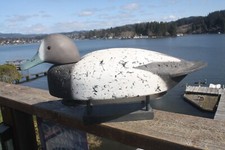 Bluebill hen decoy for sale  Lincoln City