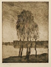 Lesser ury birken gebraucht kaufen  Berlin