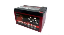 Batteria zenith agm usato  Pescantina