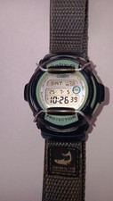 Casio baby 166 gebraucht kaufen  Gernsbach