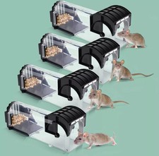 mice traps for sale mice traps for sale FRODSHAM