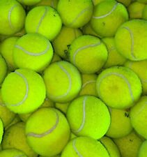 Used tennis balls for sale  NOTTINGHAM