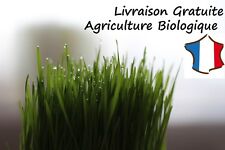 Graines herbe chat d'occasion  Gap