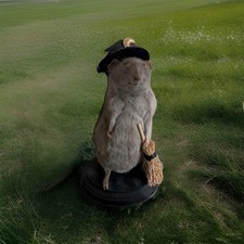 Taxidermy rat witch for sale  Ventura