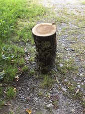 Livenholzstamm drechselholz de gebraucht kaufen  Bodnegg