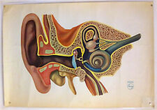 Philips original poster d'occasion  Vanves
