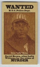 Lefty brown negro for sale  Dickinson