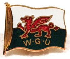 welsh dragon badge for sale welsh dragon badge for sale TAMWORTH
