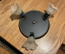 Hampton bay light for sale  Taylor