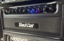 Bad cat lynx for sale  STEVENAGE