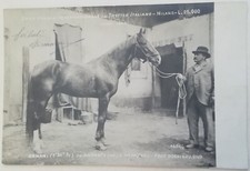 Cartolina gran premio usato  Roma