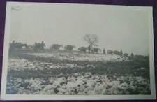 Ww1 austro hungarian for sale  LINLITHGOW