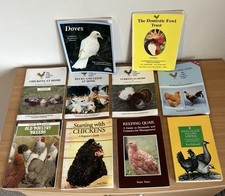 Job lot poultry for sale  CHELMSFORD