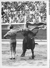 Alhp3 0145 corrida d'occasion  France