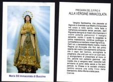 083 santino madonna usato  Italia
