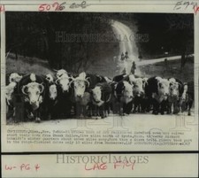 1967 press photo for sale  Memphis
