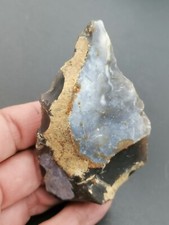 Middle paleolithic neanderthal d'occasion  Bonneville
