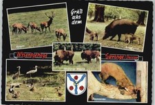 51469425 3257 springe gebraucht kaufen  Deutschland
