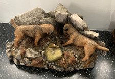 border terrier for sale  BARNSLEY