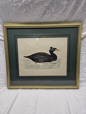 Antique lithograph vintage for sale  Toutle