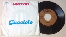 Pierrots cucciolo rare usato  Urbino