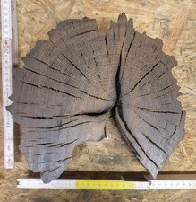 Mooreiche drechselholz schnitz gebraucht kaufen  Tettnang