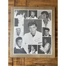 Wall art elvis for sale  Tampa