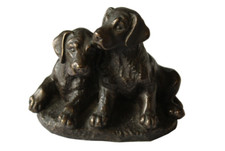 Pair puppies dogs for sale  WELLINGBOROUGH