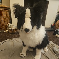 Border collie lifesize for sale  RUGELEY