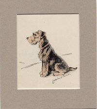 Lucy dawson lakeland for sale  SPALDING