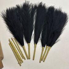 Black pampas grass for sale  Allentown