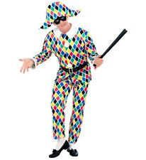 Costume carnevale uomo usato  Roma