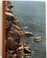 Vie fantastique iles d'occasion  Nice-