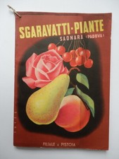Sgaravatti piante saonara usato  Trieste