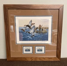 Philip crowe mallards for sale  Mason