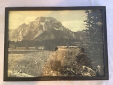 Vintage framed black for sale  Pittstown