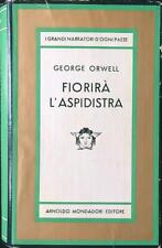 Fiorira aspidistra orwell usato  Italia