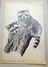 Douglas allen wildlife for sale  Kernersville