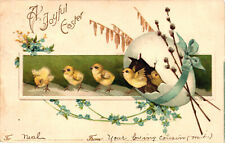Joyful easter chicks for sale  Kannapolis