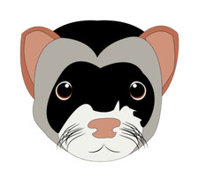 Ferret sticker love for sale  Exeter