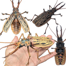 Boneco Bandai Gashapon Sabertooth Longhorn Beetle 6.3" grande realista vendedor JP comprar usado Boneco Bandai Gashapon Sabertooth Longhorn Beetle 6.3" grande realista vendedor JP comprar usado  Enviando para Brazil