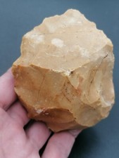 Mid paleolithic neanderthal d'occasion  Bonneville