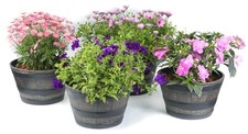 large wood barrel planter for sale large wood barrel planter for sale Eugene