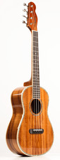 Fender california coast for sale  Metamora