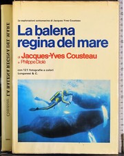 Balena regina del usato  Ariccia