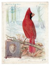 Old trade card for sale  Martinsburg