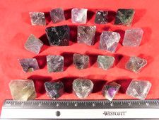 Huge lot 100 for sale  Salt Lake City