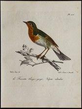 1830 rougegorge familier d'occasion 1830 rougegorge familier d'occasion  France