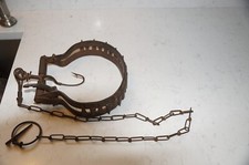 skunk trap for sale skunk trap for sale Crawley