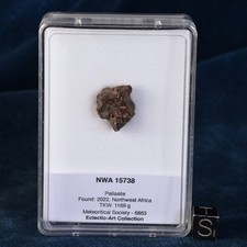 Météorite nwa 15738 d'occasion  Cavaillon